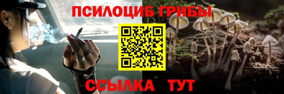 Галлюциногенные грибы Cubensis Саров