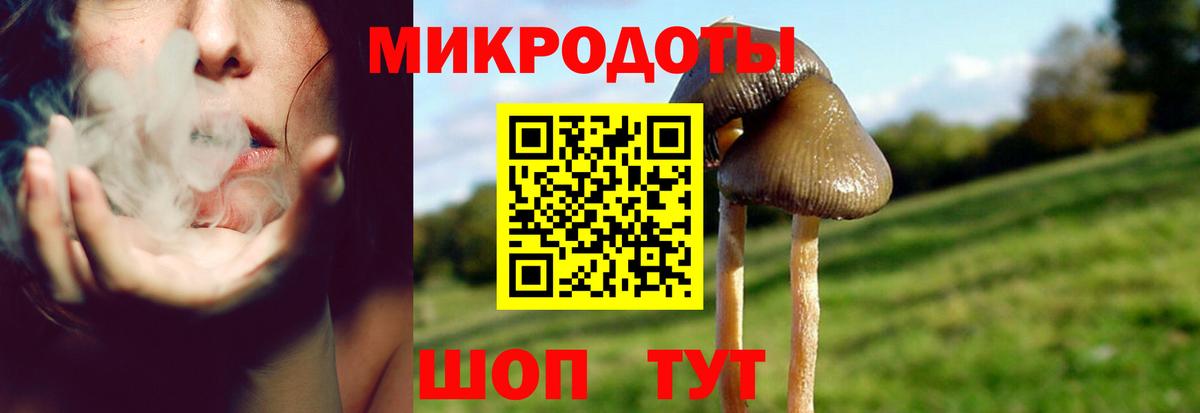 Галлюциногенные грибы Psilocybine cubensis  Вход с VPN  Саров 